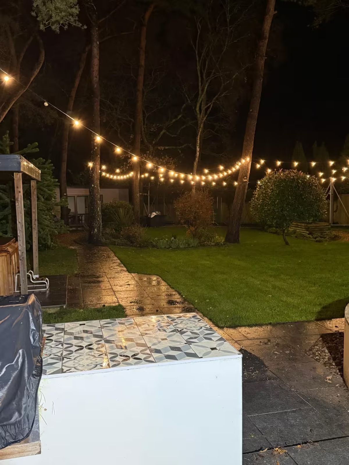 The garden at night under festoon lights